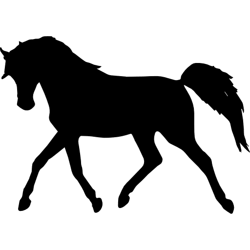 Pic Horse Arabian Black Free Download PNG HQ PNG Image