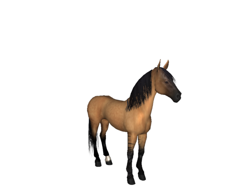 Farm Horse Morgan Free HQ Image PNG Image