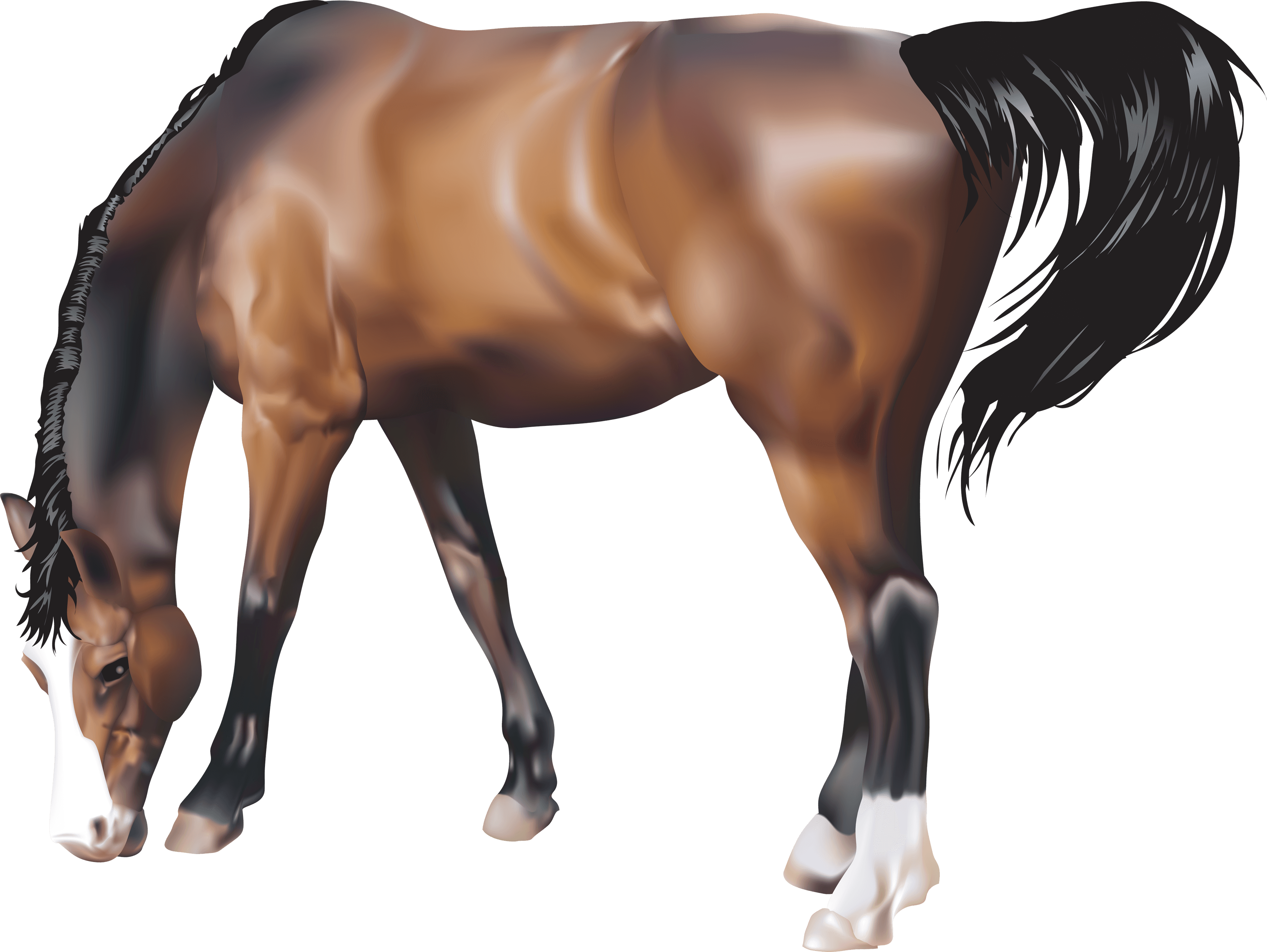 Brown Horse Png Image Download Picture Transparent Background PNG Image