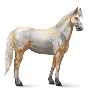 Horse Png Image Download Picture Transparent Background PNG Image