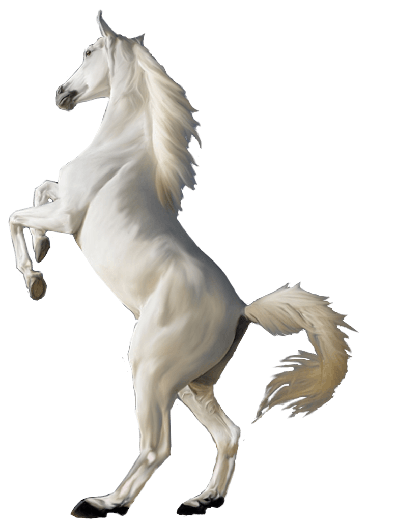 White Horse Png Image PNG Image