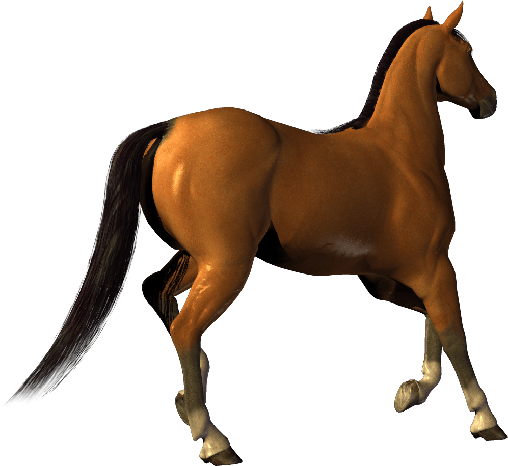 Horse Png Image Download Picture Transparent Background PNG Image