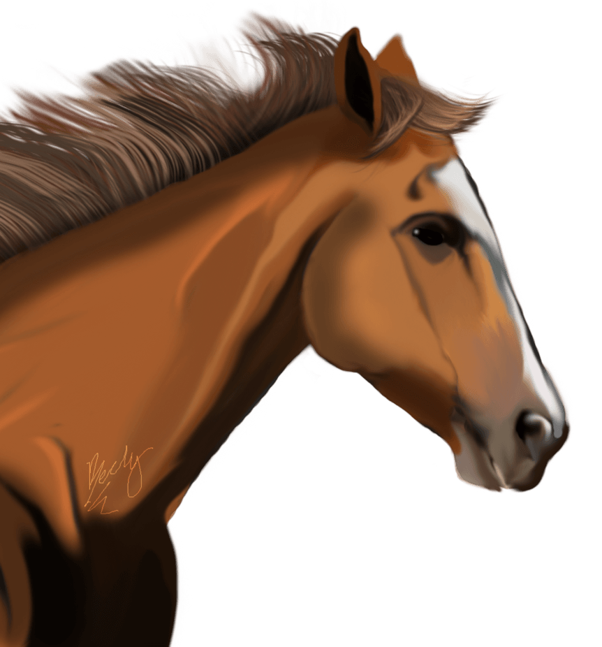 Horse Png Image PNG Image