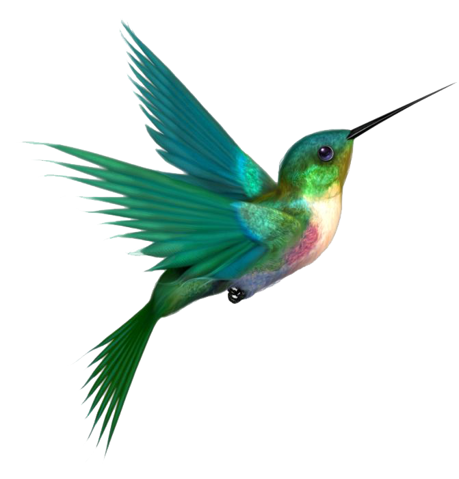 Watercolor Flying Hummingbird HD Image Free PNG Image