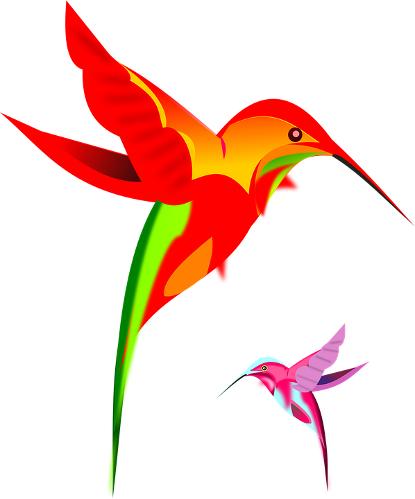 Silhouette Hummingbird Download Free Image PNG Image