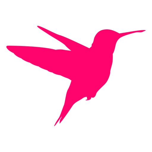 Flying Vector Hummingbird Download HQ PNG Image