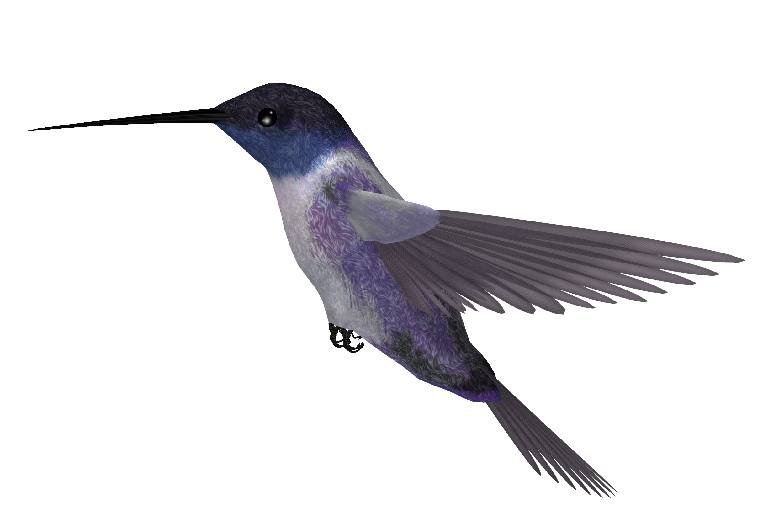 Hummingbird Png Picture PNG Image