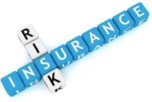Insurance Png Image PNG Image
