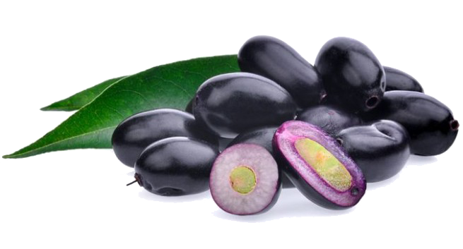 Jamun Java Plum Transparent PNG Image