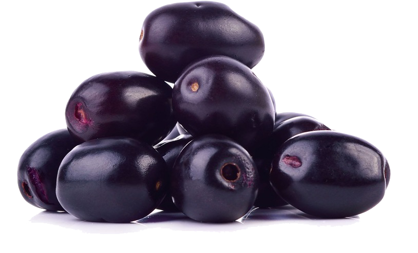 Jamun Java Plum Transparent Image PNG Image