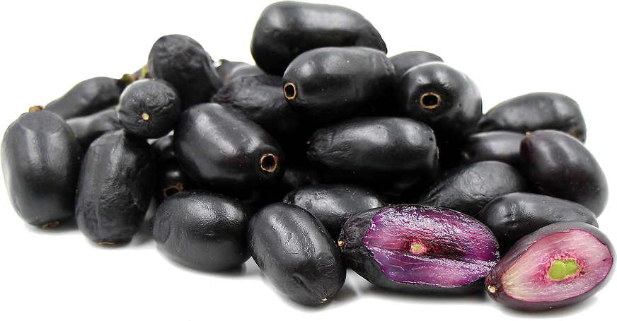 Jamun Java Plum Photos PNG Image