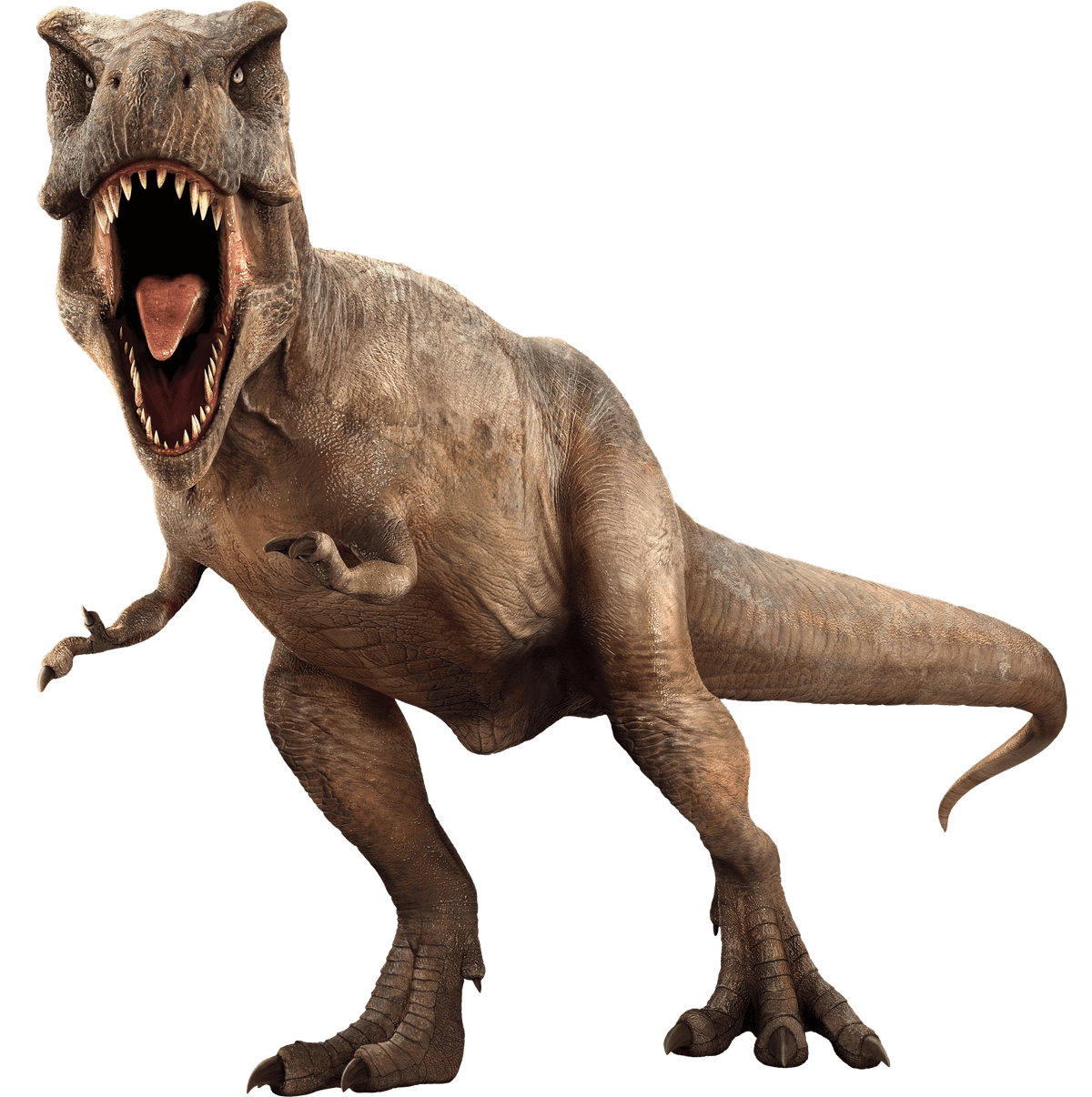 Jurassic Park Picture PNG Image