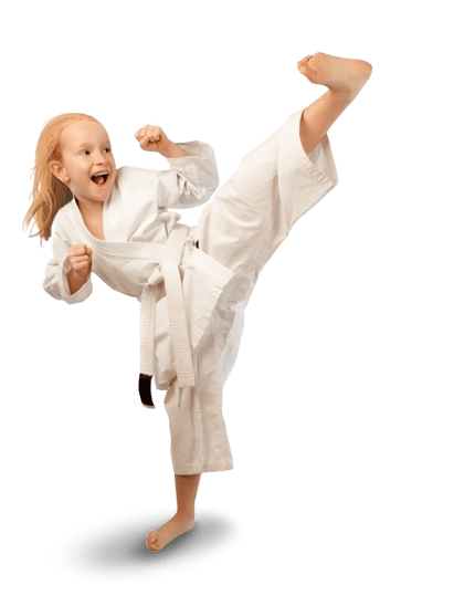 Karate File PNG Image