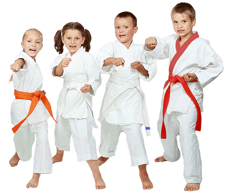 Karate Photo PNG Image