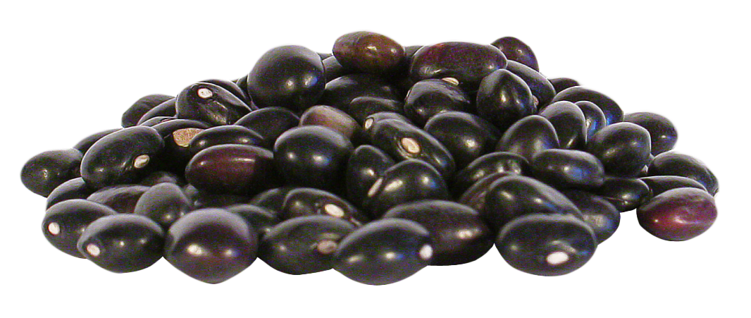 Beans Black Kidney Free Download Image PNG Image