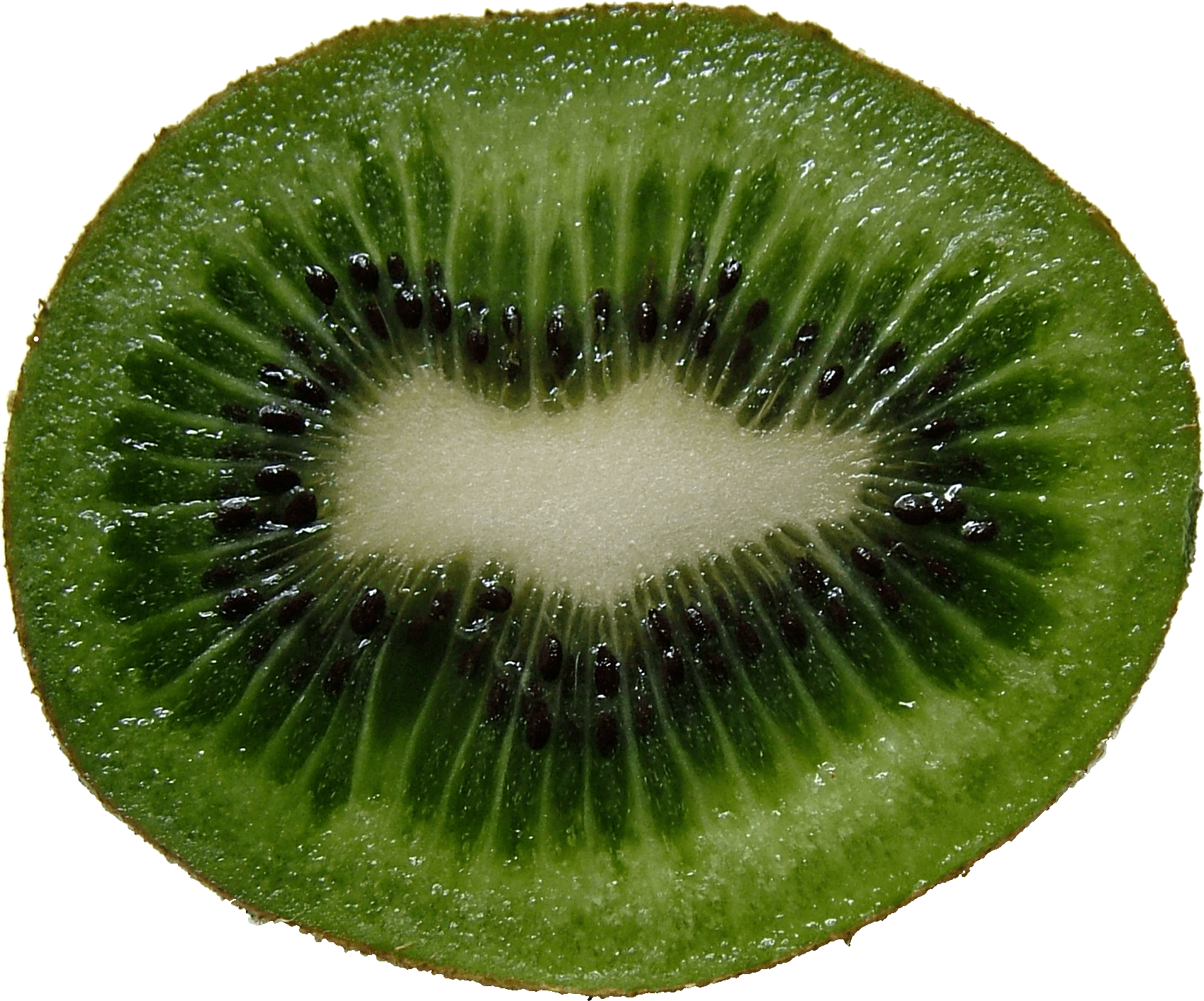 Green Cutted Kiwi Png Image PNG Image