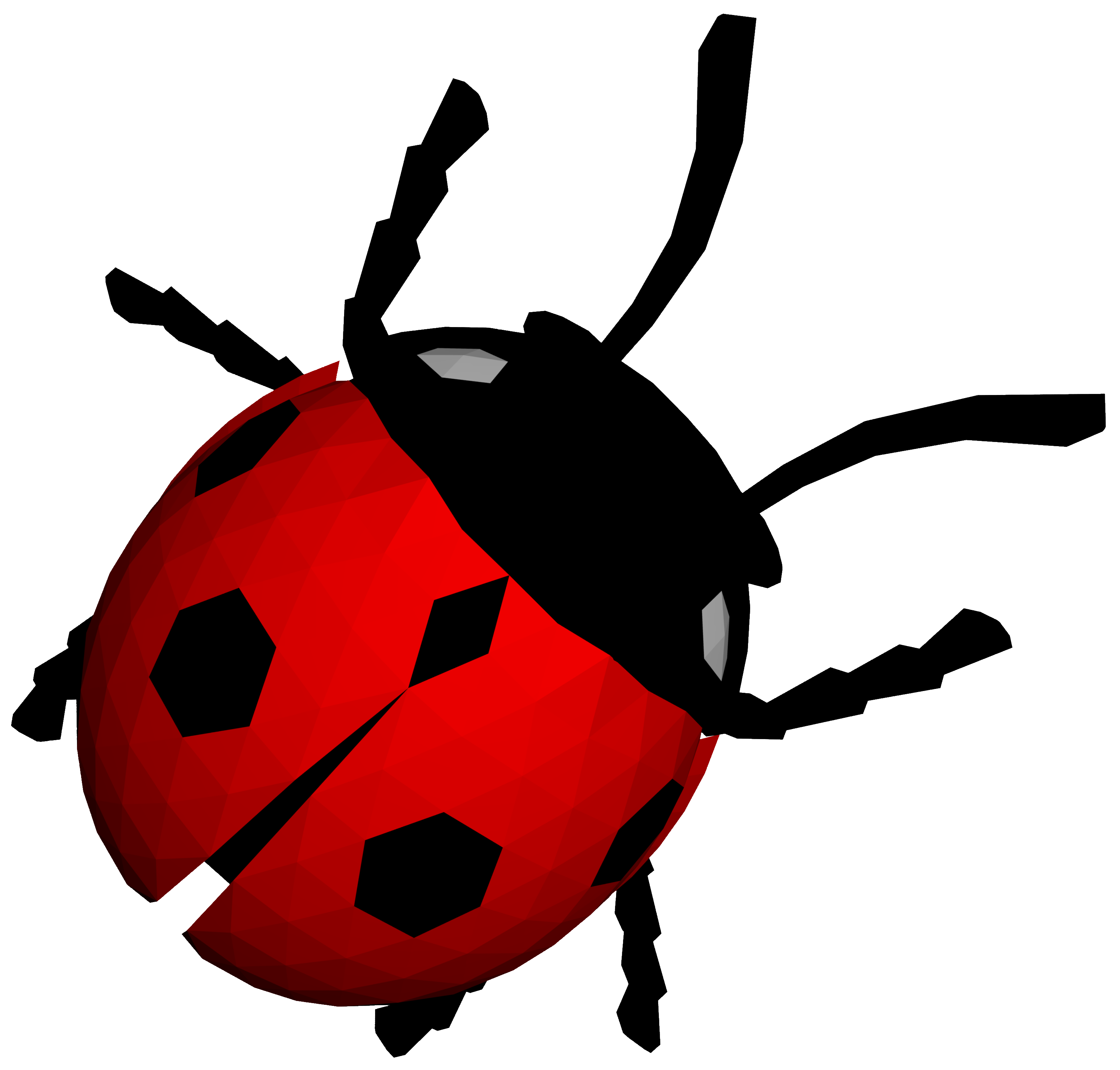 Ladybug Insect Vector Photos Free Clipart HQ PNG Image