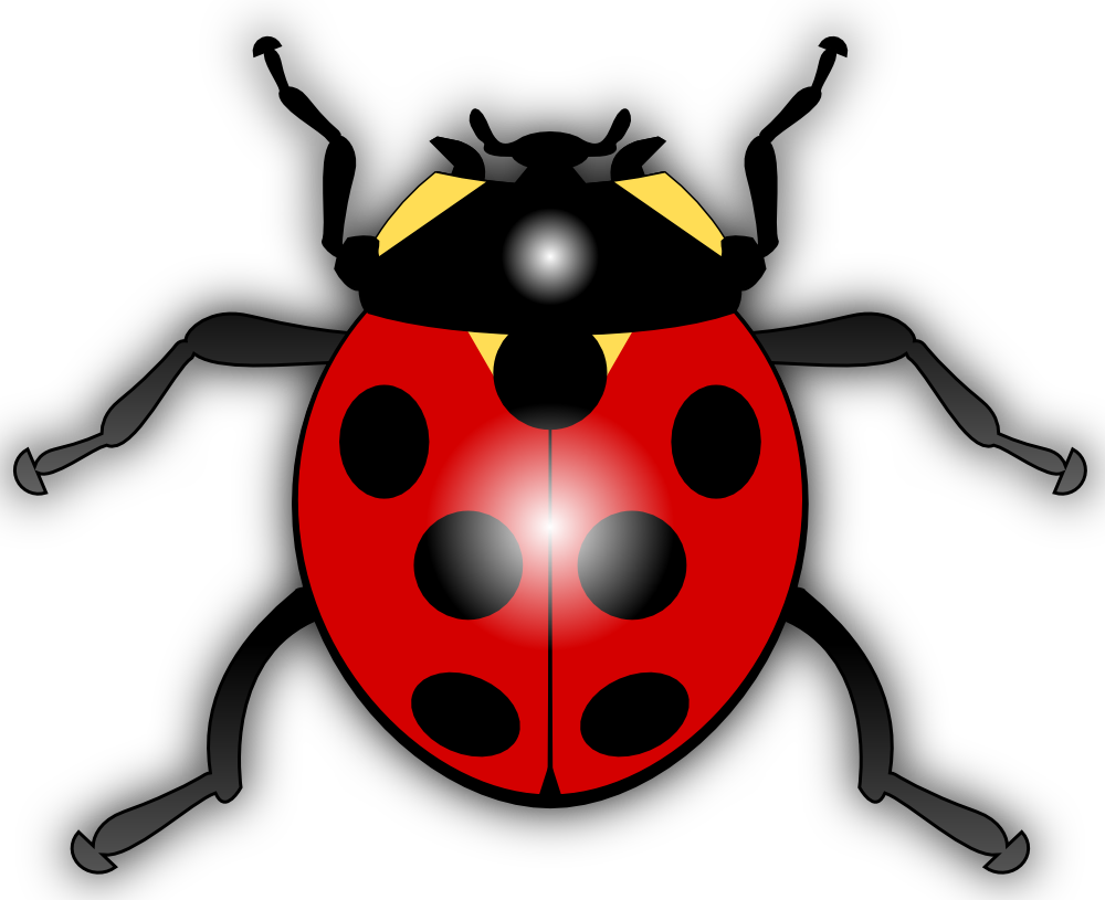 Cartoon Ladybug Clip Art PNG Image