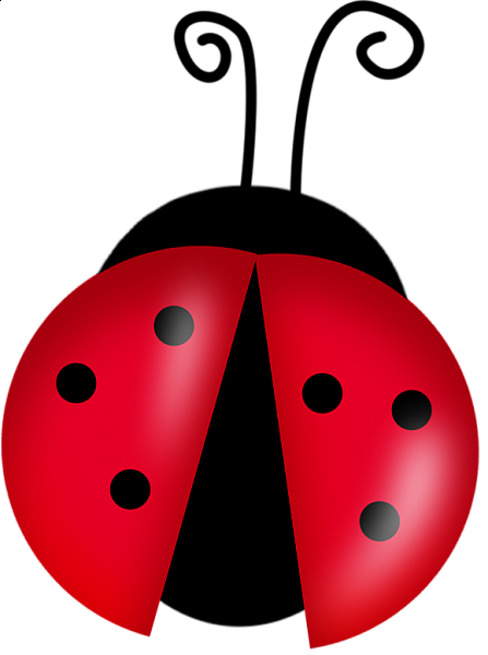 Ladybug Png File PNG Image