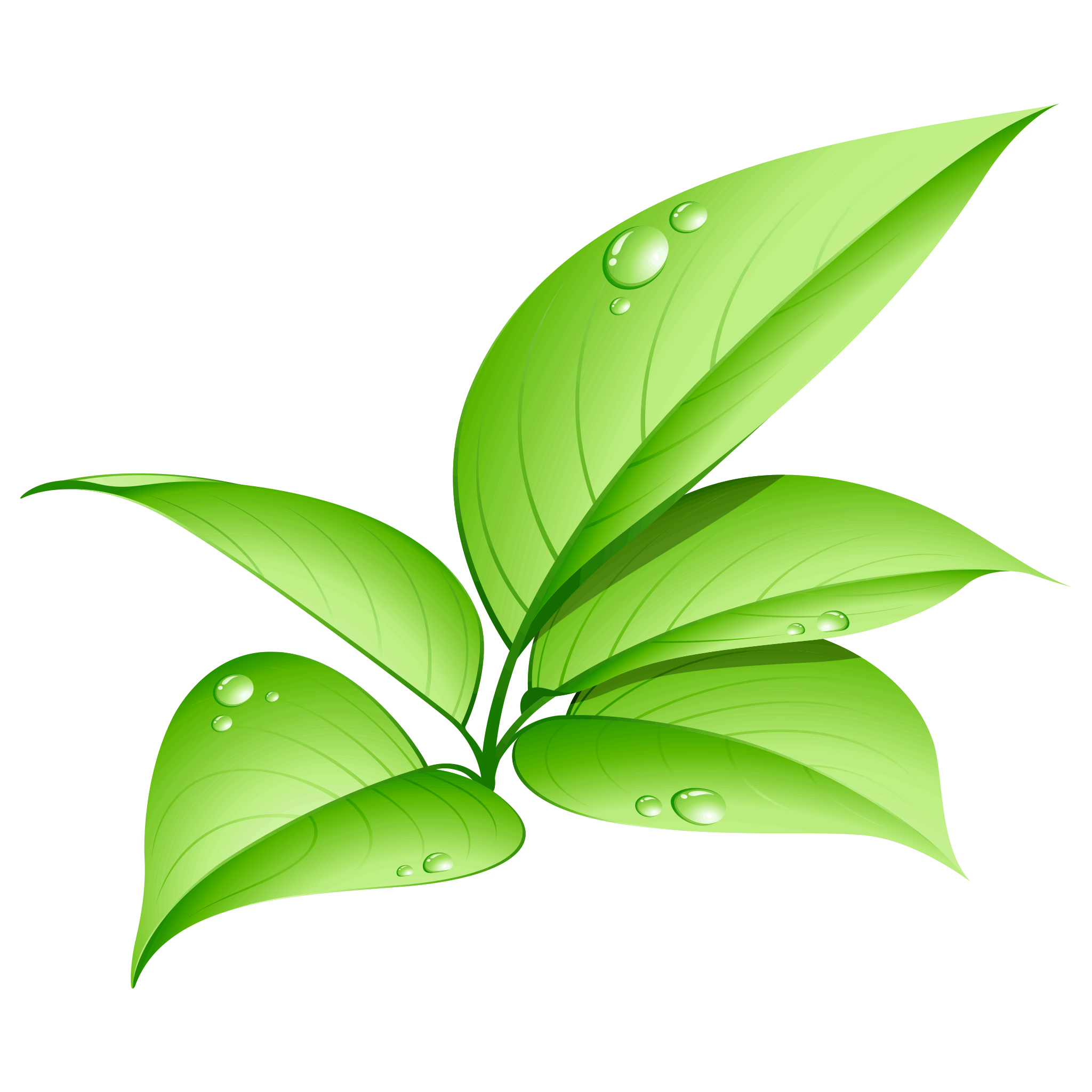 Pic Vector Green Leafs PNG Image High Quality PNG Image