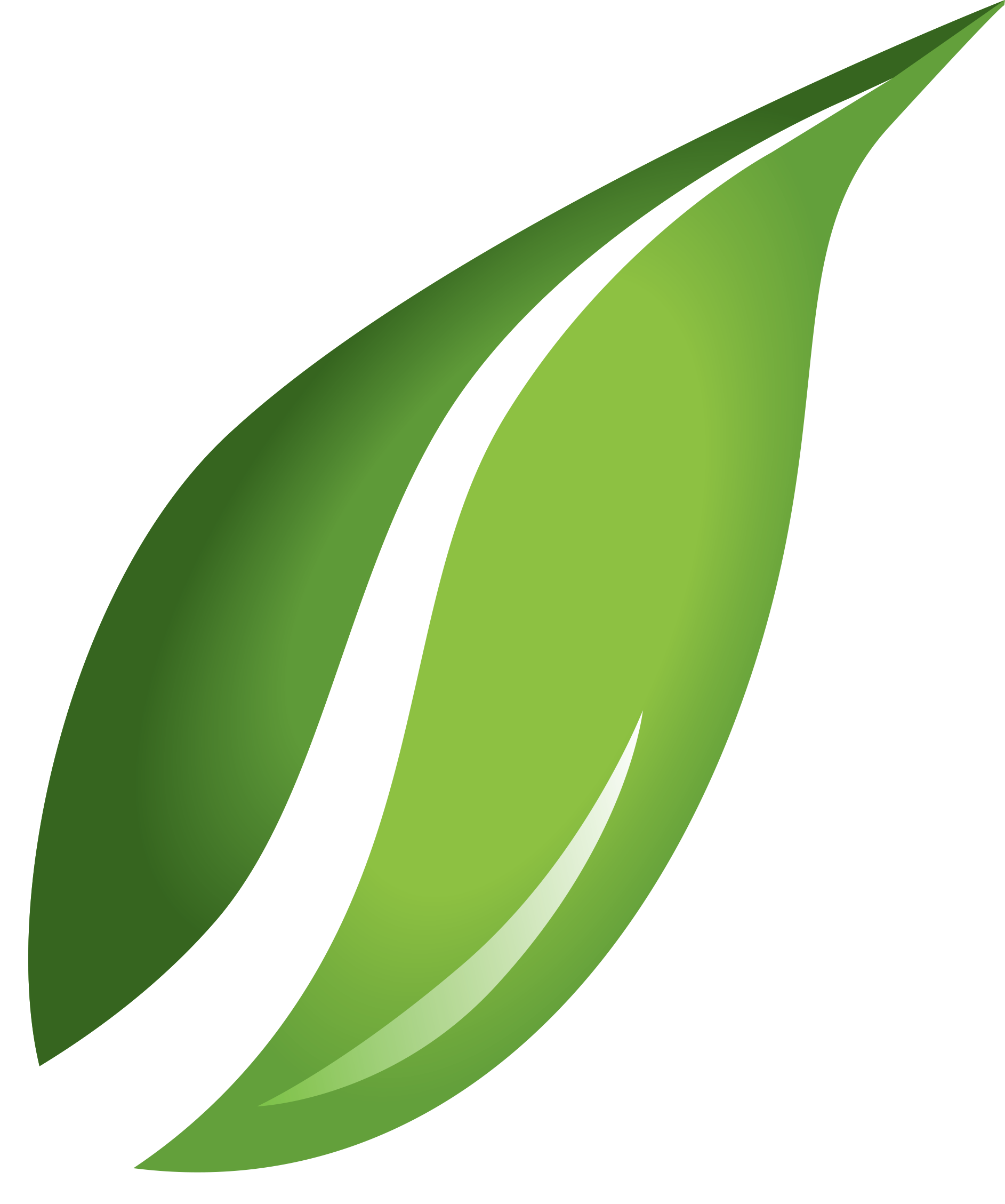 Leaf Transparent Background PNG Image