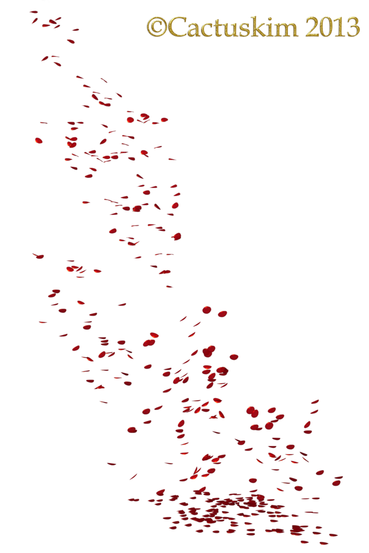 Falling Petals Free Download PNG HD PNG Image