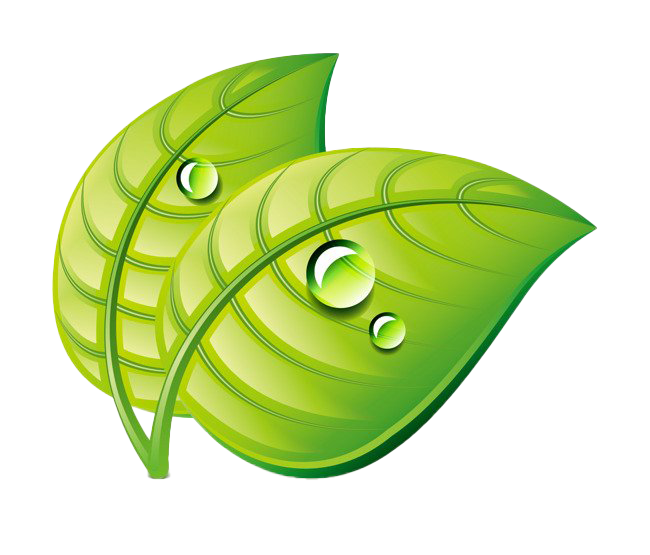 Water Drop Leaf Dew Download Free Image PNG Image