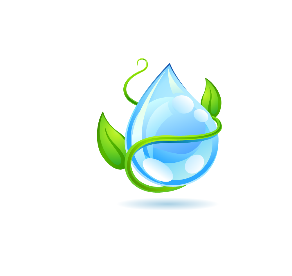 Water Leaf Tree Free HQ Image PNG Image