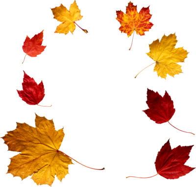Autumn Leaves File PNG Image