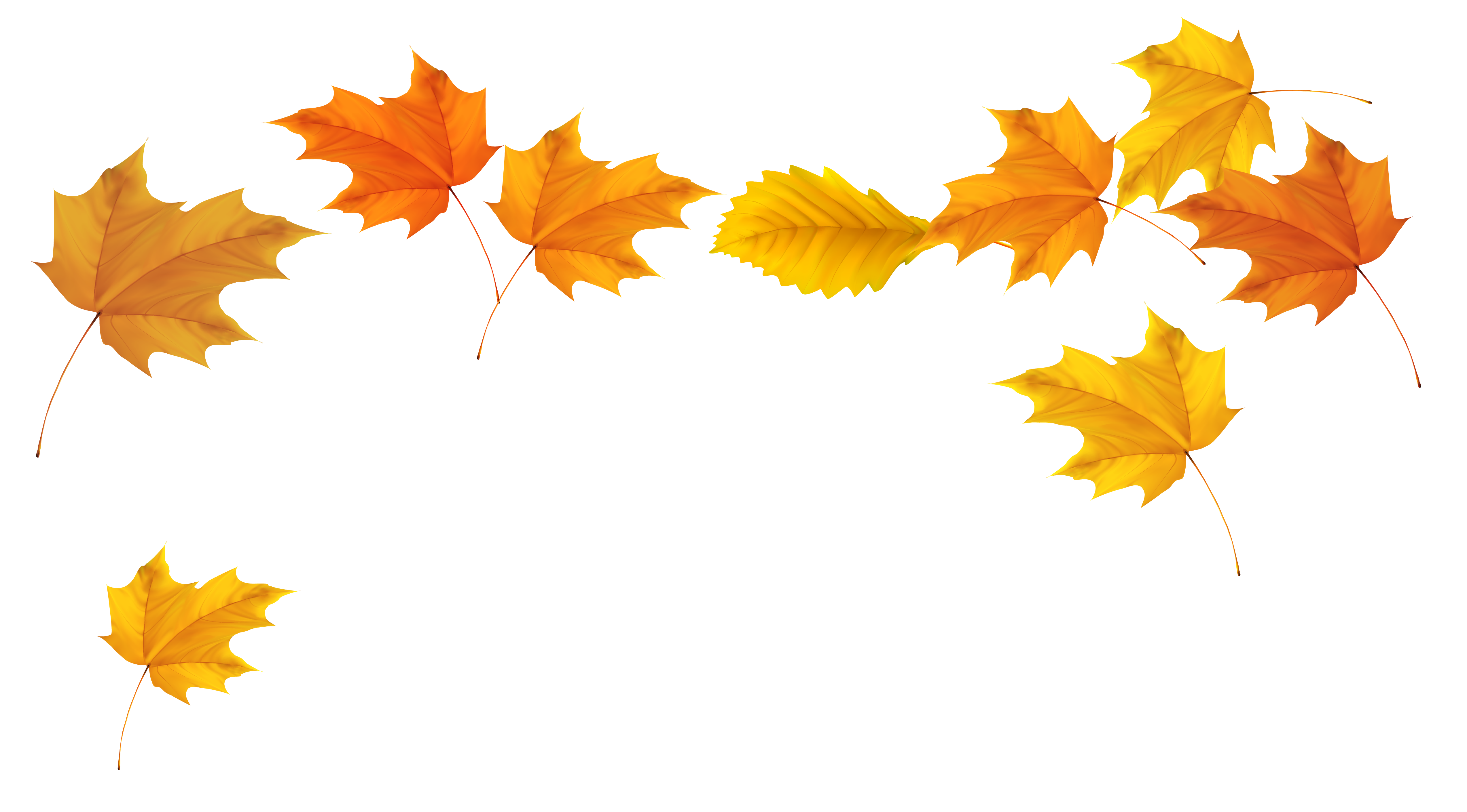 Falling Leaves Transparent Background PNG Image