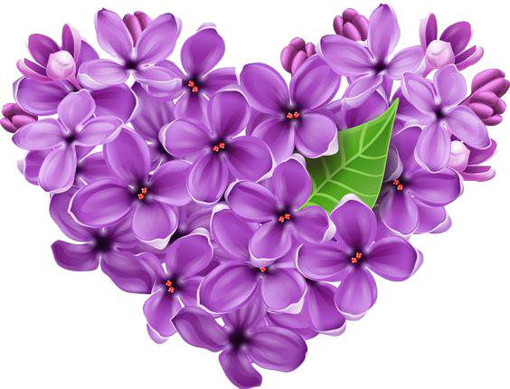Lilac Transparent Background PNG Image