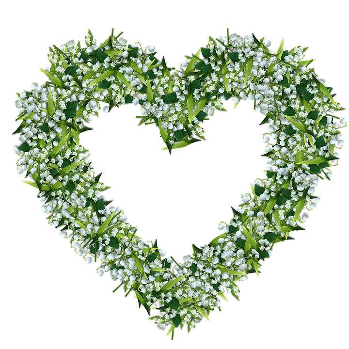 Lily Of The Valley Photo PNG Image