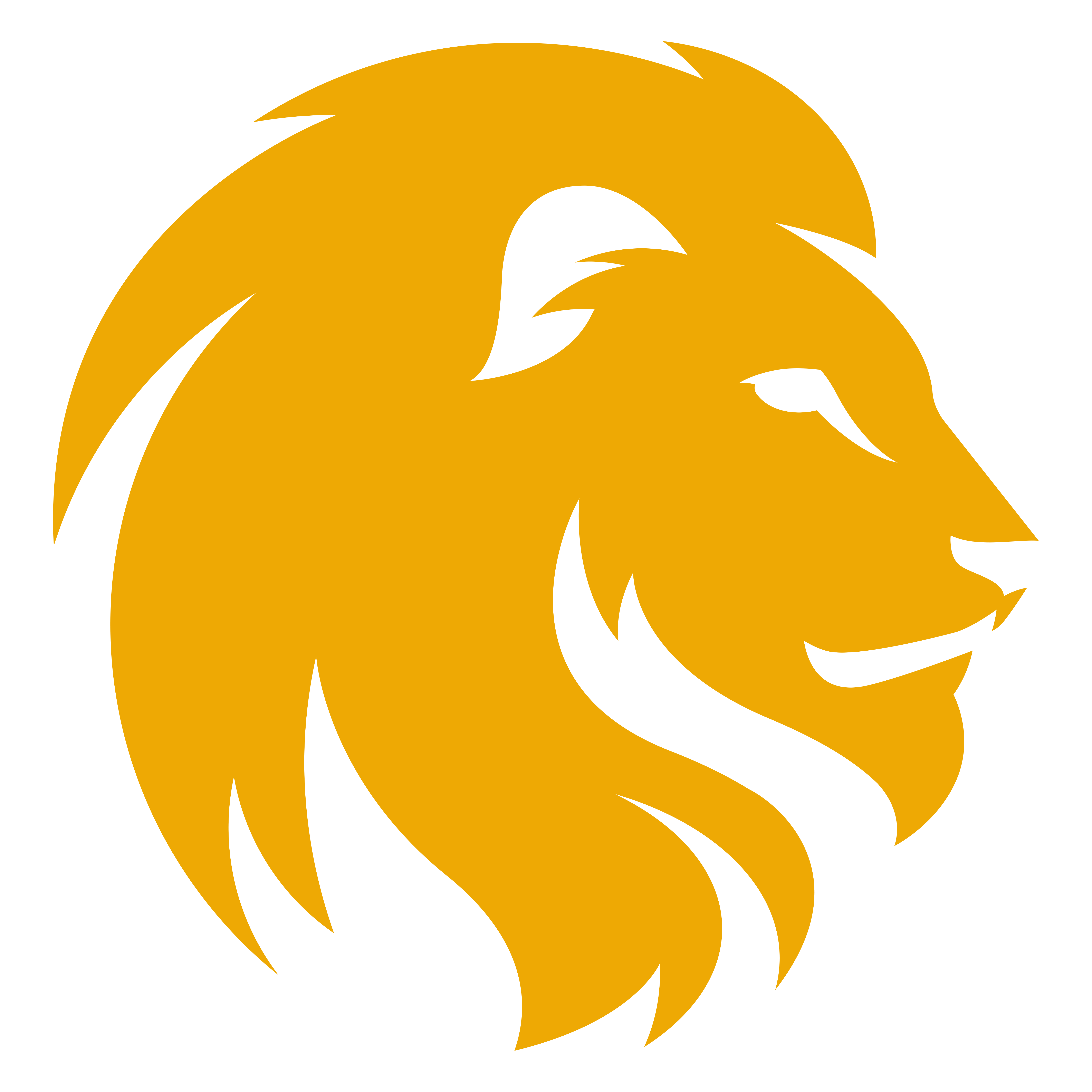 Lion Head Photos PNG Image