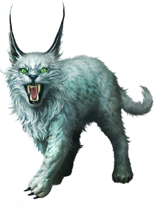 Lynx Png Clipart PNG Image