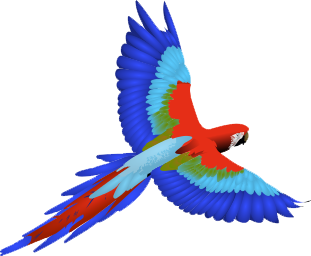 Macaw Png Clipart PNG Image