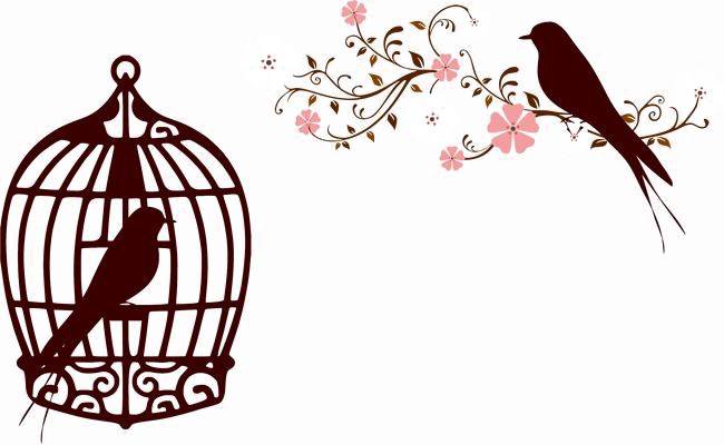 Caged Bird Image Free Download PNG HQ PNG Image