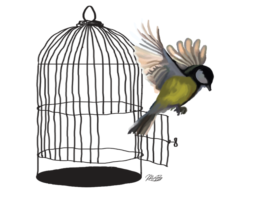 Caged Bird Free Download Image PNG Image