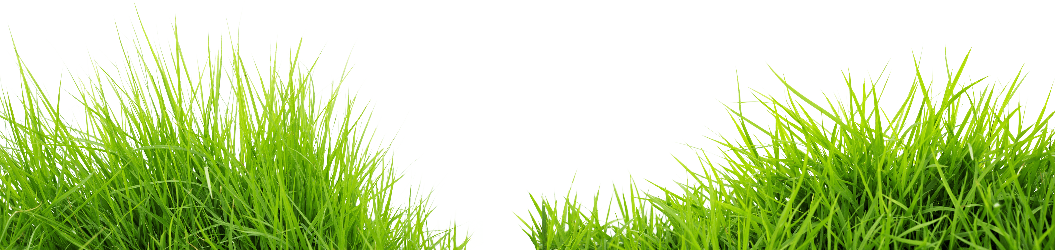 Field Meadow Free HQ Image PNG Image