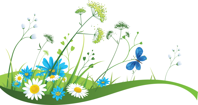 Summer Meadow Download HD PNG Image