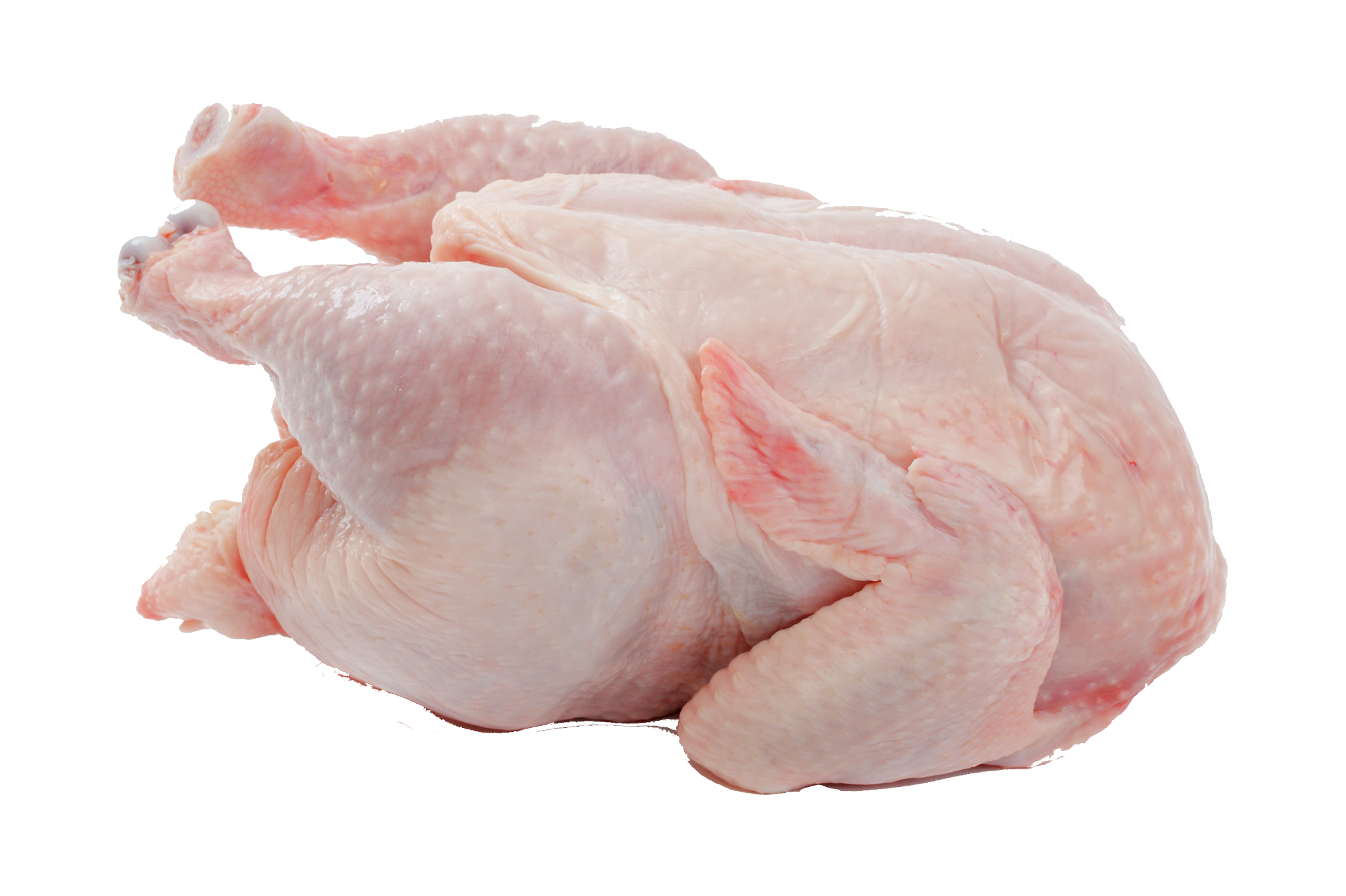 Chicken Meat PNG Image