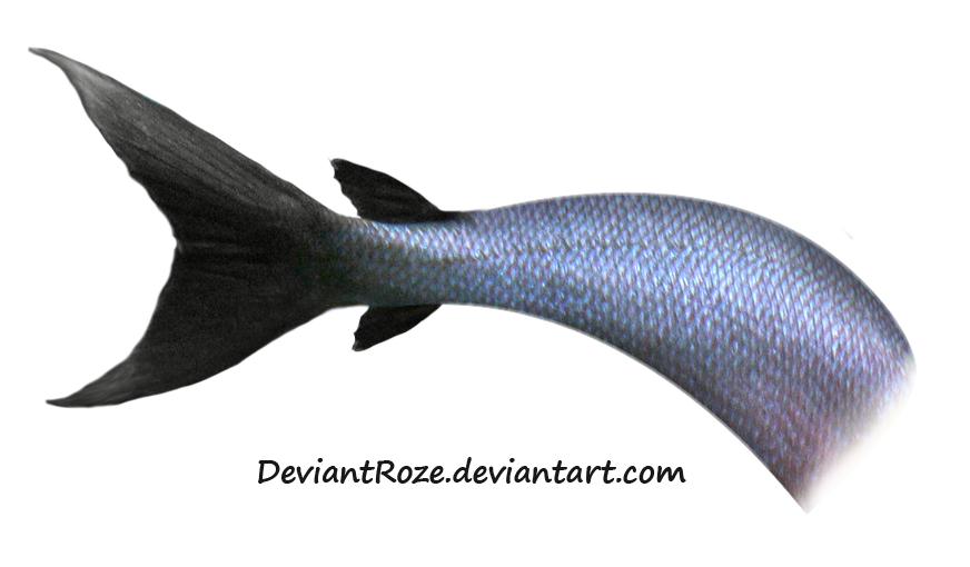 Mermaid Tail Free Png Image PNG Image