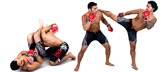 Mma Free Download PNG Image