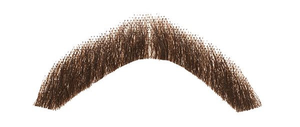 Moustache Png Hd PNG Image