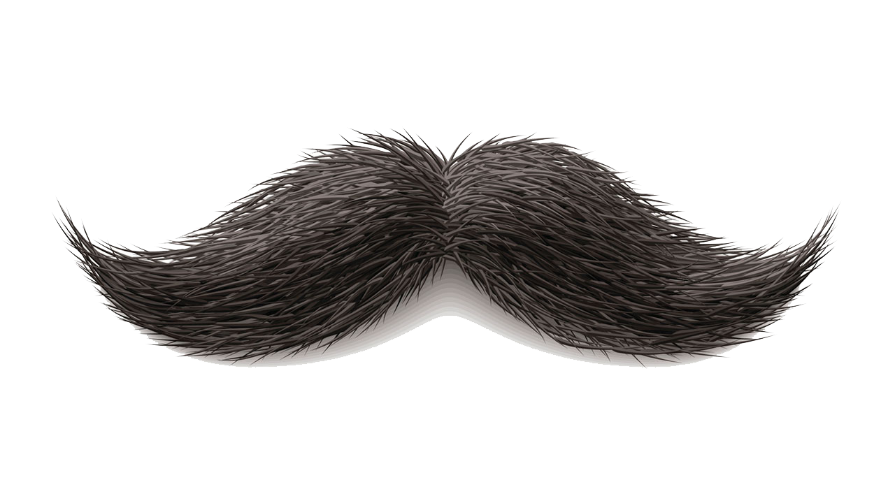 Moustache Png Image PNG Image