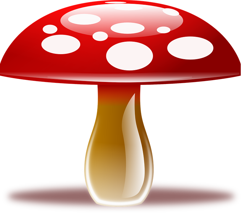 Amanita Muscaria Clipart PNG Image