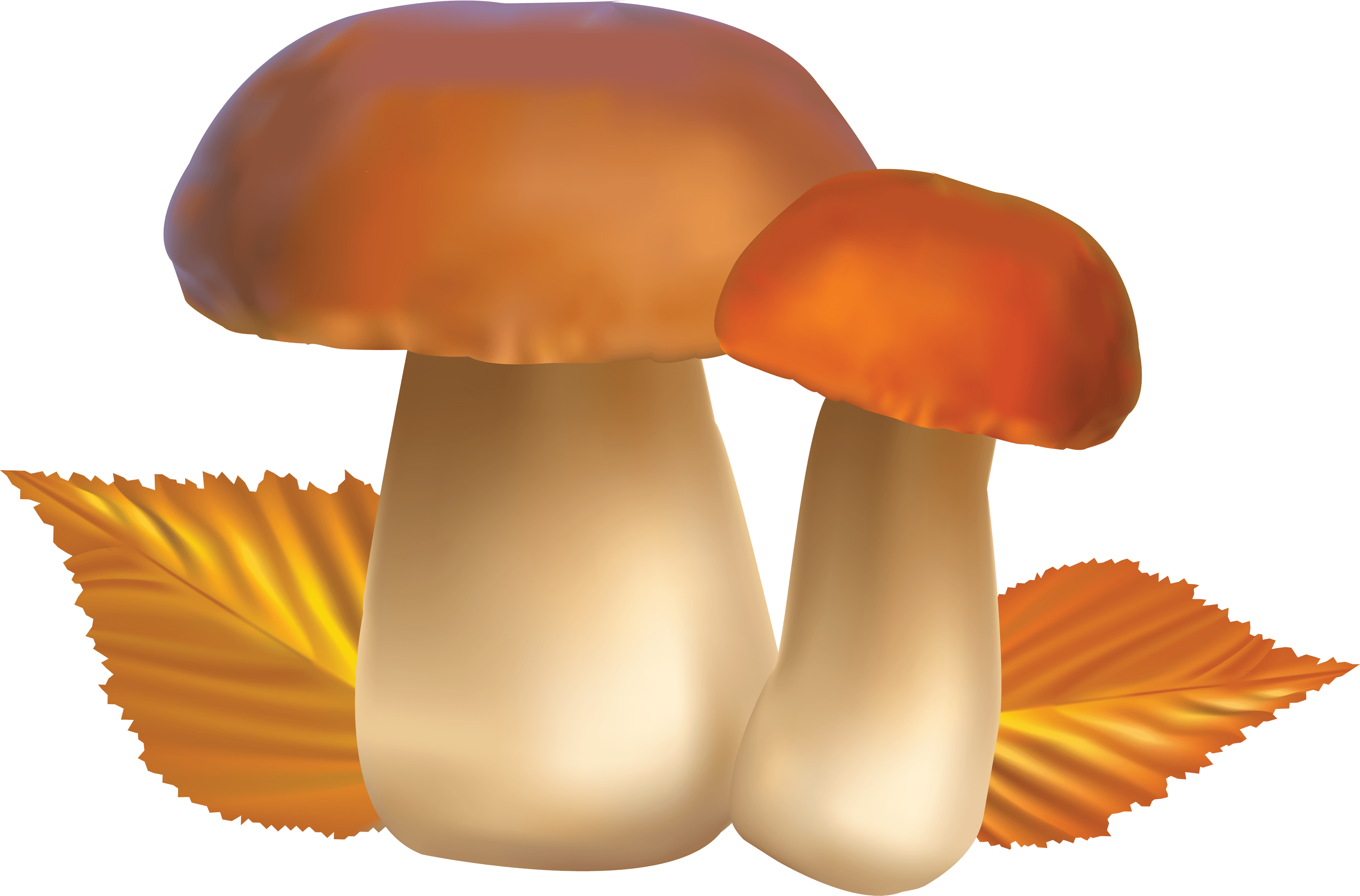 Mushroom Png Image PNG Image