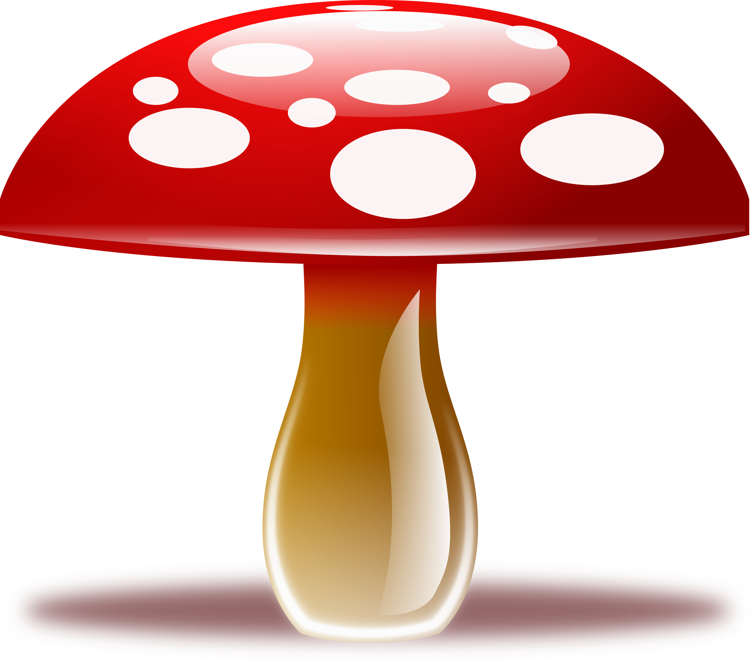 Mushroom Picture PNG Image