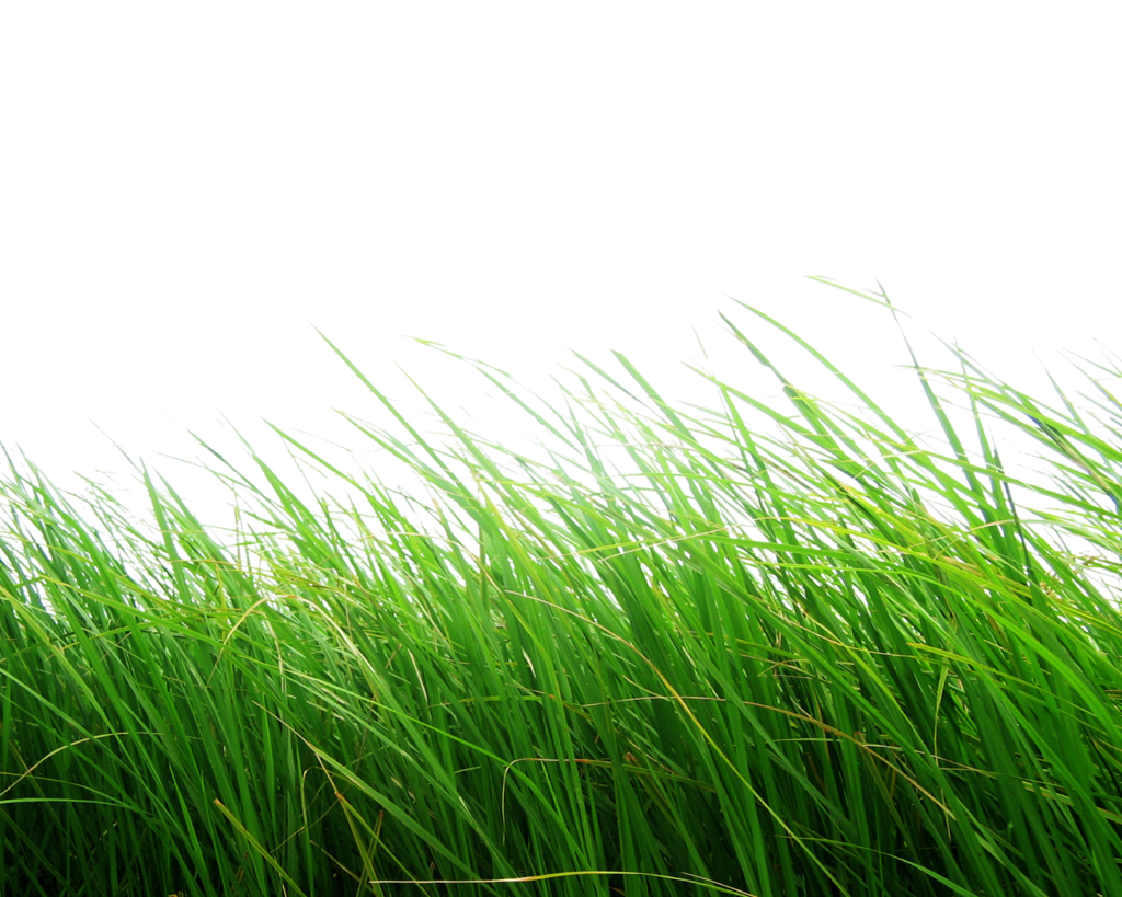 Nature Free Download PNG Image