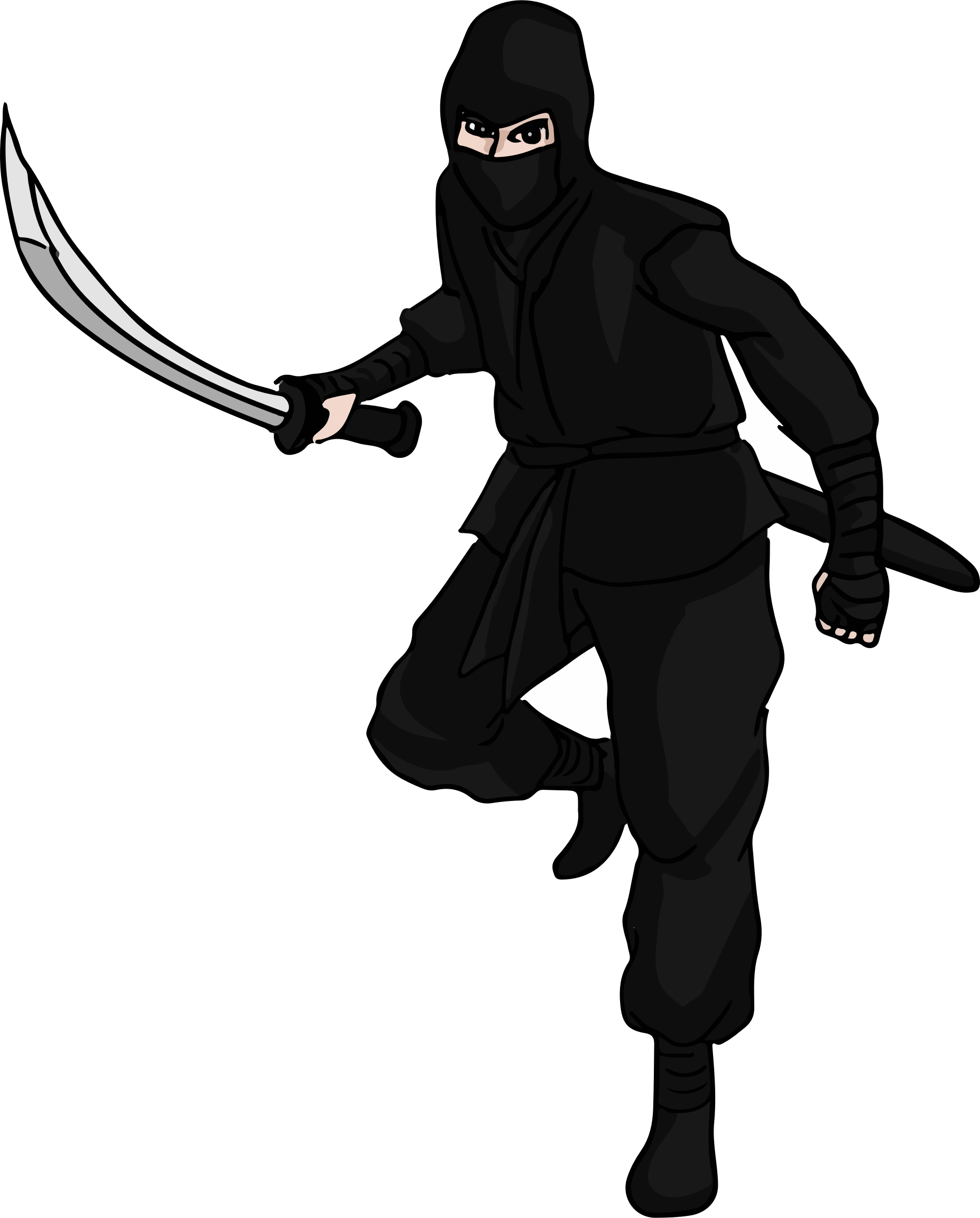 Ninja Png Pic PNG Image