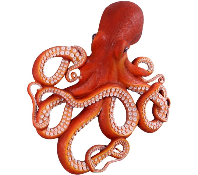 Octopus Free HD Image PNG Image
